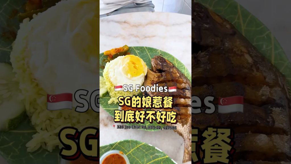 SG的娘惹菜到底好不好吃？ #t先生来啦 #sgnews