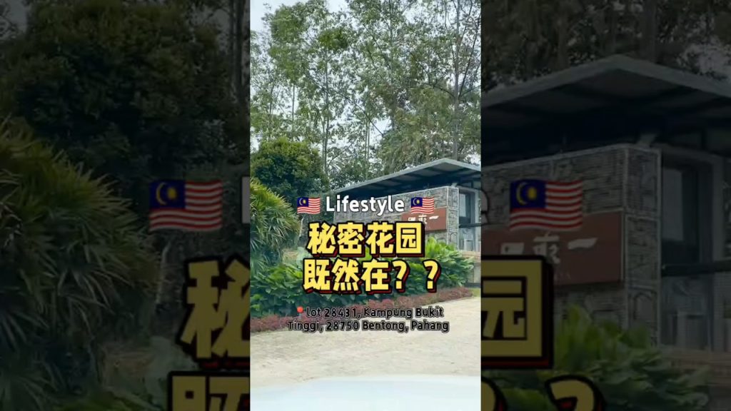 你不知道的逃离城市的好去处 #t先生来啦 #food #fypsg #sgnews